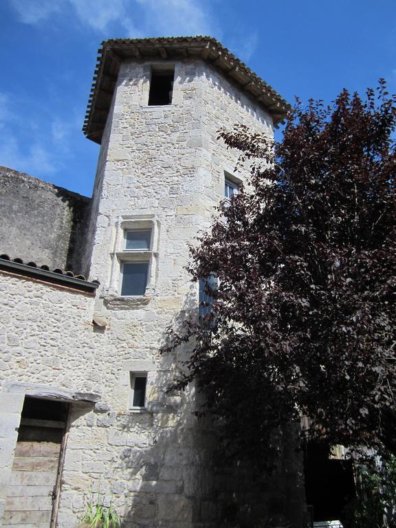 Chambre D'Hotes La Tour De Brazalem Nérac Værelse billede